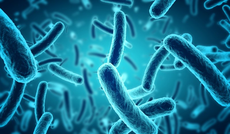 Illustration of numerous bacteria